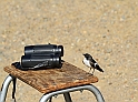 IMG_5845 alm14_1_k